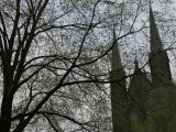 Holland  Amsterdam  Church Clock Tower  Low Angle View  Tree