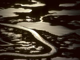 Aerial View of a Winding Stream and a Marsh