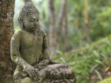 Tranquil Seated Buddha Statue in Bali's Lush Tropical Forest