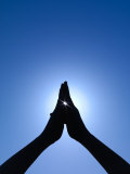 Silhouette of a Woman Practicing Yoga in a Tropical Setting