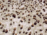 Erratically Scattered Rocks