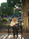 Old Man Falls Asleep on a Park Bench in El Jardin