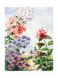 Portrait of Wildflowers Native to Eastern United States