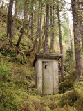 Outhouse in a Moss Covered Forest