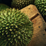Durian Fruit - Popular in South East Asia