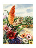 Portrait of Flowers Native to Africa