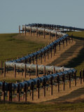 Alaska Pipeline Zig Zags its Way across the Arctic Tundra