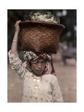 This Padang Girl Is Carrying a Basket of Cabbages to the Market