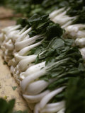 Baby Bok Choi for Sale in a Market in Hong Kong