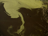 Aerial View of Okavango Delta  Botswana