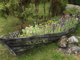 Old Wooden Boat Used as a Flower Planter