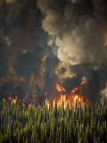 Aerial View of Forest Fires in the Boise National Forest