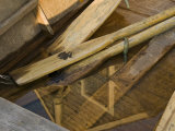Close-up of Oars and Reflections in a Flooded Rowboat