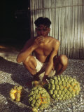 Abaiang Man Eats a Pandanus Fruit