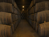 Casks of Wine in a Wine Cellar