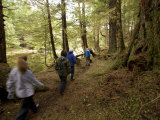 Hikers in an Old Growth Forest Along Lake Eva River
