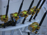 Marlin Fishing Tournament at West Harbor