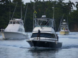 Marlin Fishing Tournament at West Harbor
