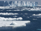 Scenic of Icebergs and Sea Ice