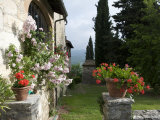 Tuscan House with Roses and Pelagonier in the Gardens