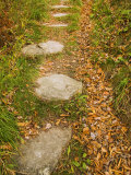 Stone Path Through Woods Lined with Fallen Autumn Leaves  Vermont