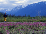 Hiker Exploring Meadow of Wildflowers