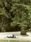 Kayaker Rests on a Sand Beach under a Big Tree on the Lochsa River