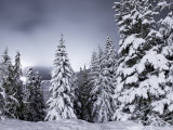 Light Pollution from a Night Ski Area Fills the Sky on Mt Hood