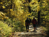Two Men Walking a Gravel Road Through a Forest