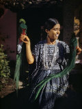 Woman Holds Mounted Quetzals  National Bird of Guatemala