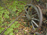 Old  Decaying  Wagon Wheel Among Green and Brown Maple Leaves