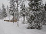 Log Cabin in Wilderness Alaska