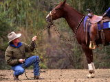 Horse Trainer Working with a Horse