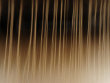 Close Up of Thread on a Loom