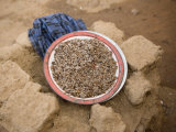 Small Pit Is Dug in the Hard Soil to Promote Plant Growth