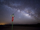Milky Way Is Undimmed by Outdoor Lights
