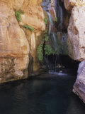 Elves Chasm Grand Canyon National Park  Arizona