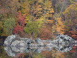 Fall Foliage Along the C&O Canal