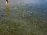 Person Walks in Shallow Water on a Sunny Day