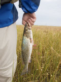 Fisherman with a Freshly Caught Sea Trout in a Salt Water Marsh