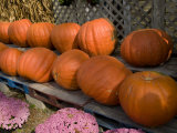 Giant Pumpkins Line a Roadside Stand