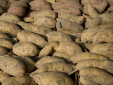 Fresh Potatoes Await Buyers at a Roadside Stand