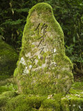 Moss Covered Stone with Writing at Natadera Temple