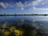 Cloud Reflections in Still Water in Everglades National Park