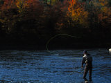 Fisherman Fly Fishing for Atlantic Salmon  Salmo Salar