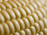 Close View of Corn