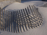 Sand Fence on the Beach in Destin  Florida