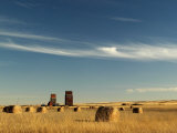 Derelict Grain Elevators Stand in the Prairies