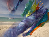 Colorful Laundry on a Windy Day at Pigeon Point