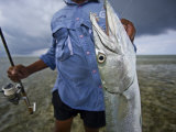 Fisherman Holds Out a Barracuda